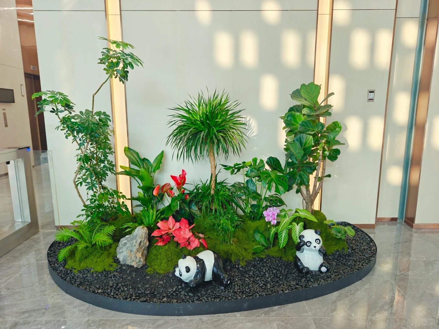 余姚植物租赁专业,为您打造绿色办公环境